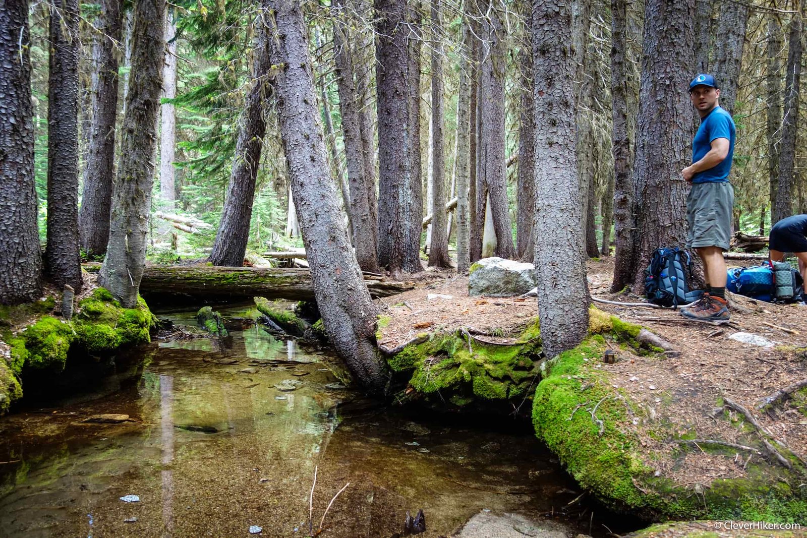 backpacker taking a break near a forested creek