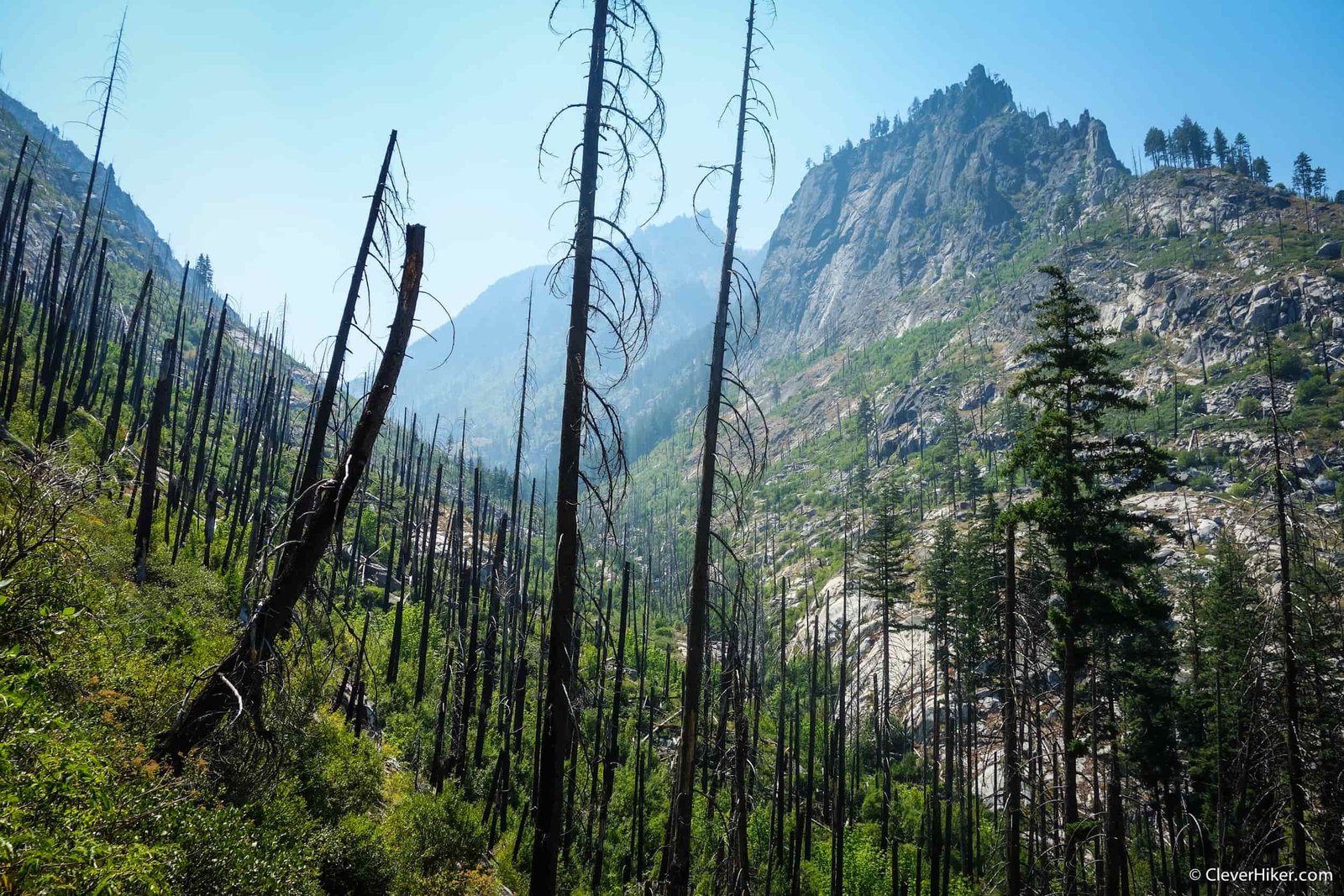 old wildfire burned area in the enchantment lakes wilderness
