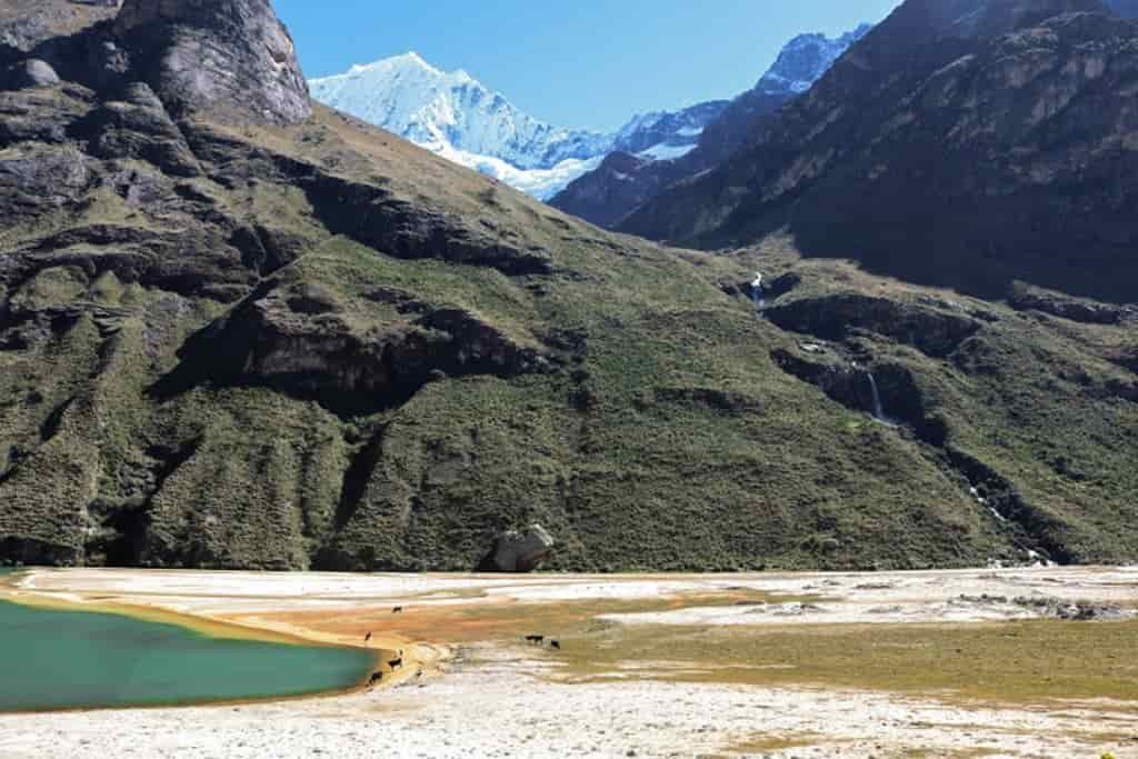 Animals graze on a floodplain with majestic mountains in the background
