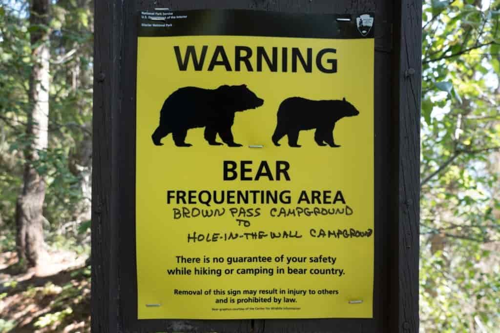 sign post explaining that there's bears frequenting an area between two campgrounds, the sign is yellow with two bears outlined