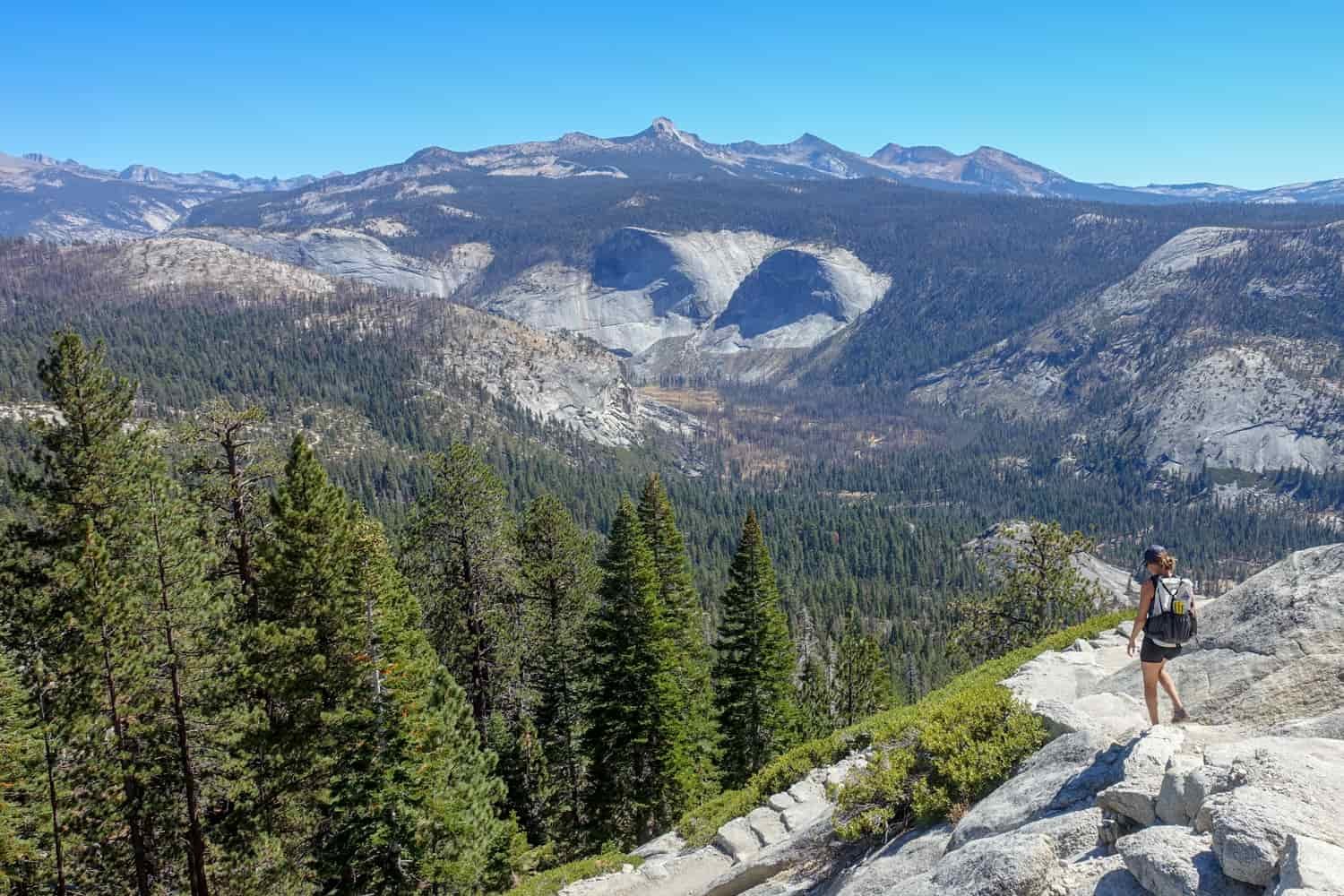the mix of tree covered upland of yosemite valley and exposed rock in the valley below