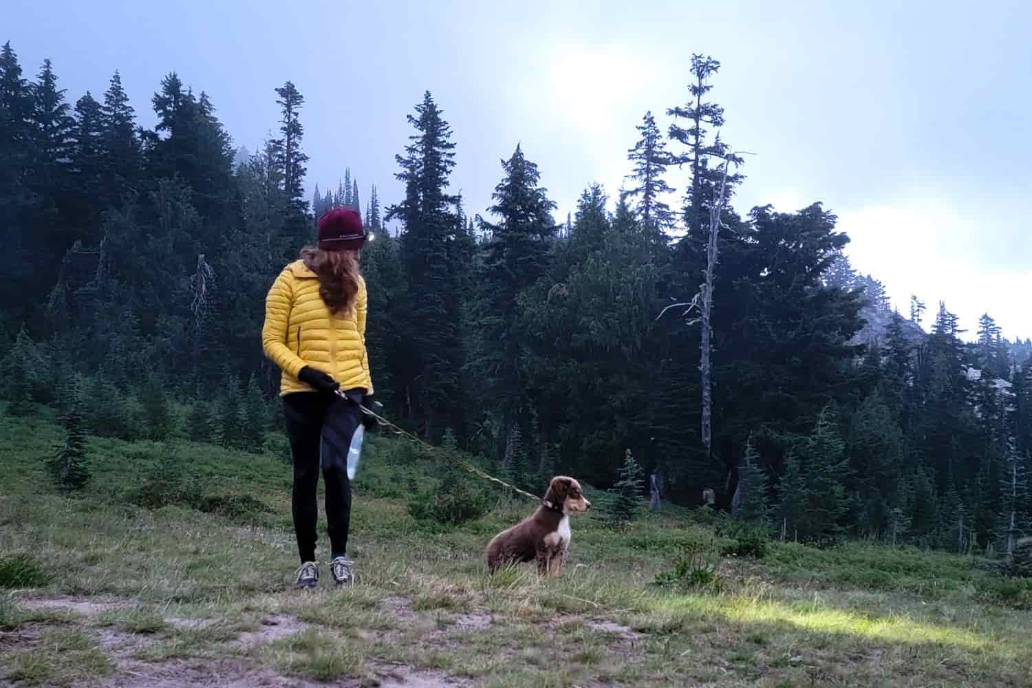A woman hikes with her dog in a meadow with a headlamp illuminating the way