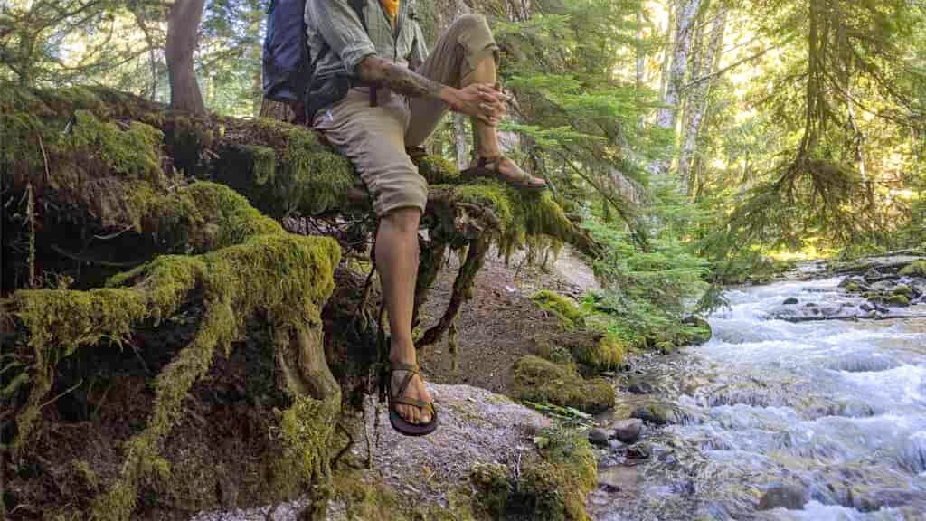 A hiker in the Chaco Z/1 Classic sandals resting on mossy tree roots overhanging a creek