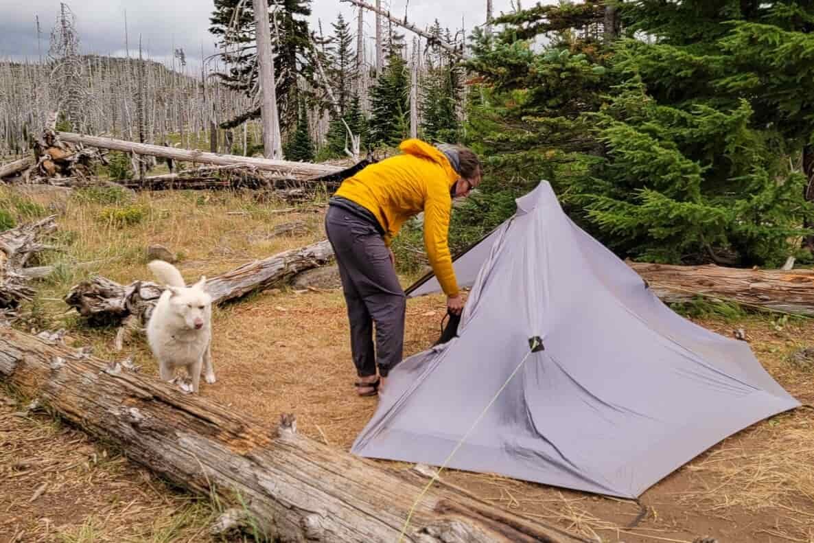 A hiker and a dog in front of the Six Moon Designs Lunar Solo Tent during high winds