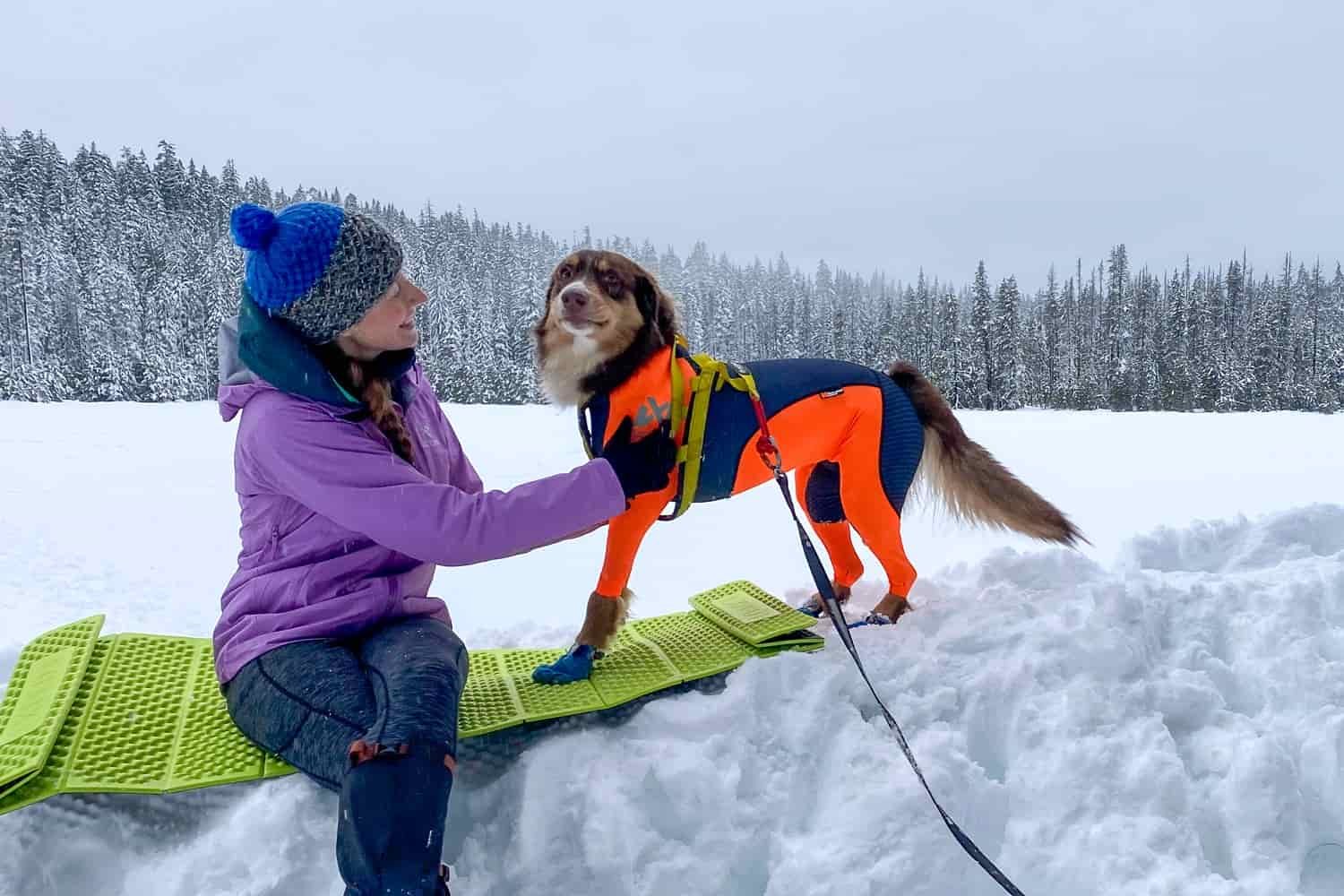 a dog wearing a full coverage snow suit while their owner pets them sitting in front of winter lake
