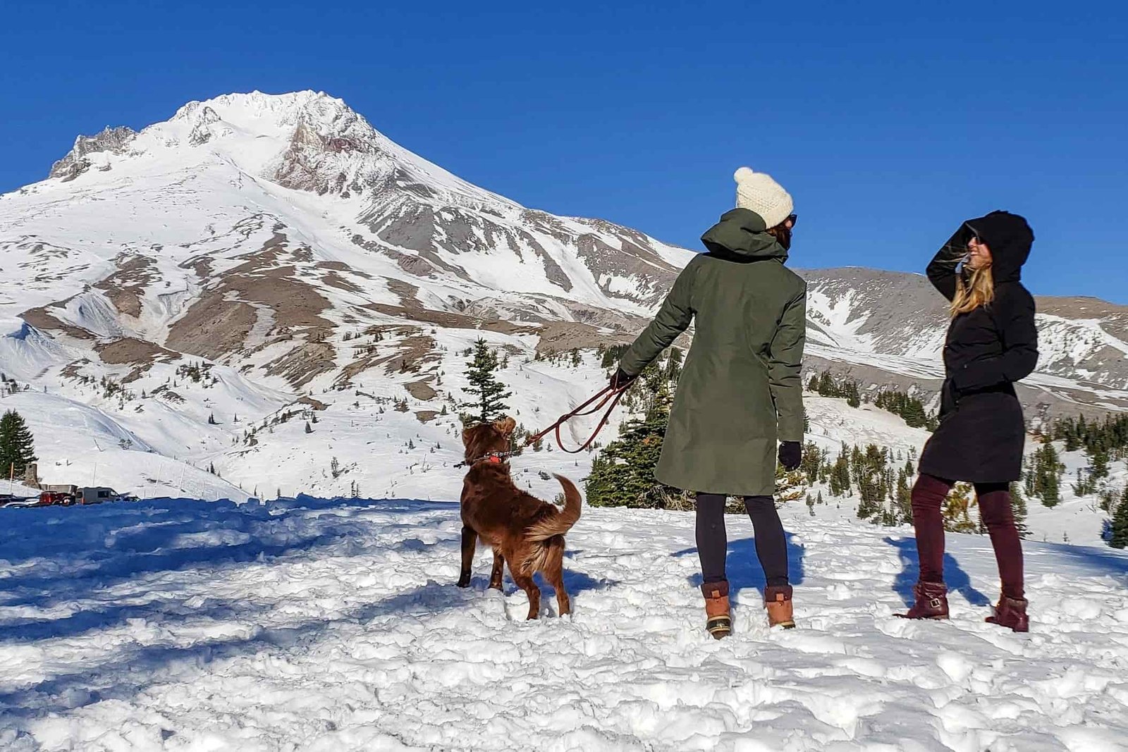 two women standing in front of mount hood in the winter on a sunny day. one has their dog on a leash