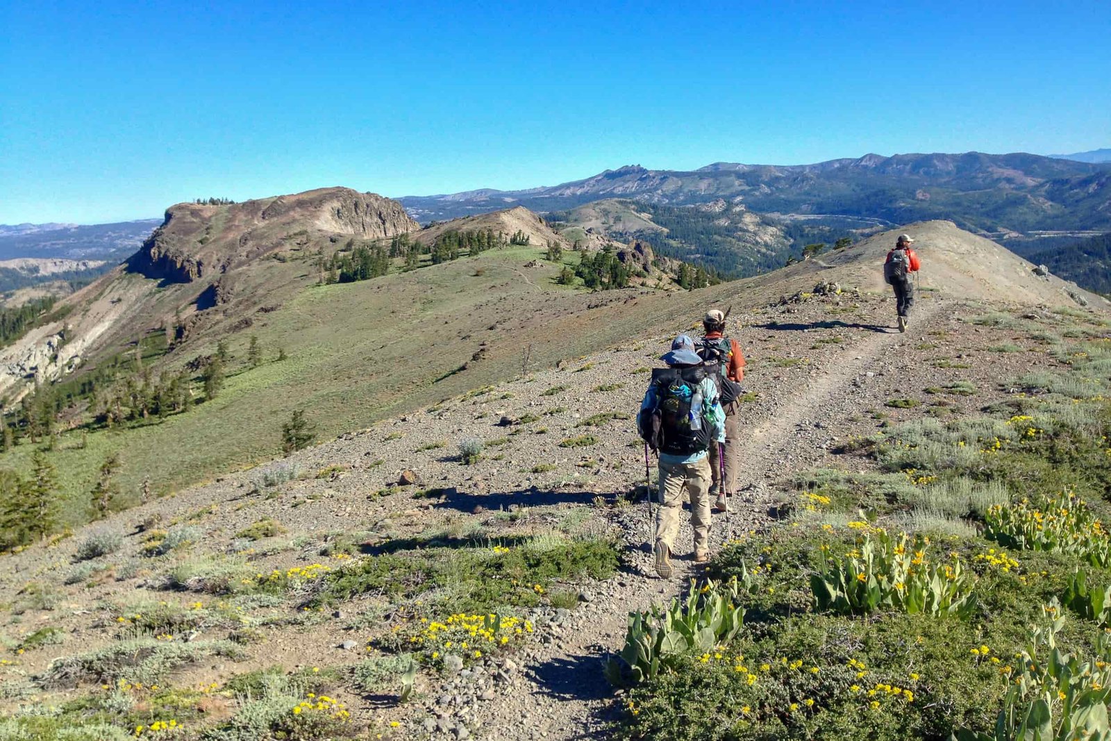 three male hikers spread out along a high-altitude trail
