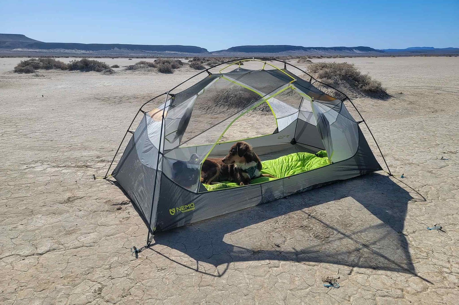 the nemo dagger tent without the rainfly on in the desert playa on a sunny day