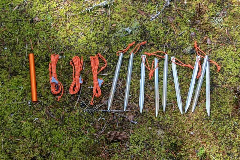 tent stakes and repair parts on moss