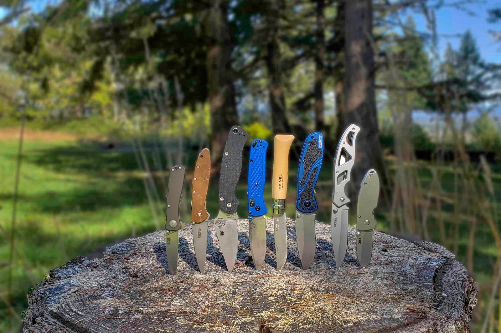 eight pocket knives stabbed in a block of wood on a sunny day
