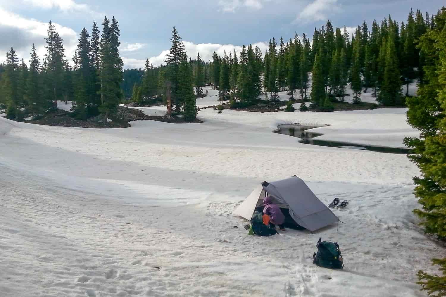 A tent is setup in a massive snowfield in a pine forest on a sunny evening.