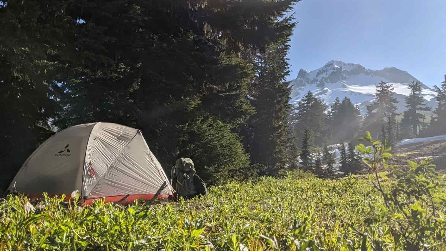 A tent setup in a grassy forest with mountains in the background.