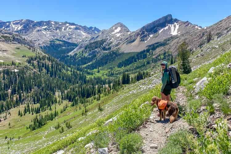 A female hiker and dog look over a green valley and grey mountains