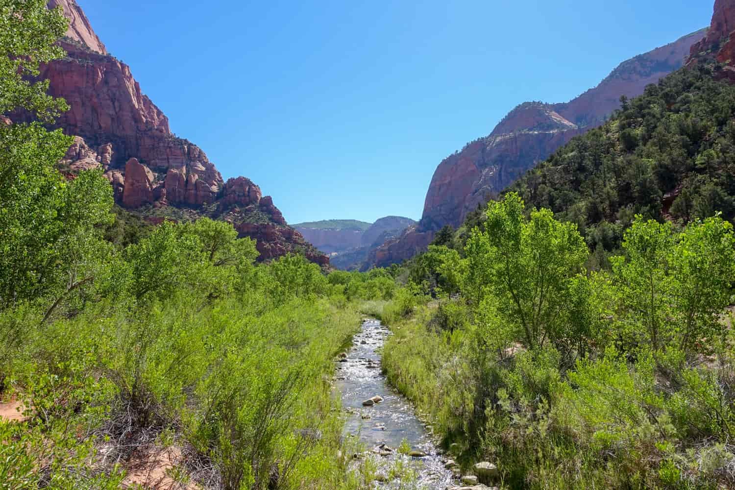 a stream in a green valley in zion national park on the zion traverse