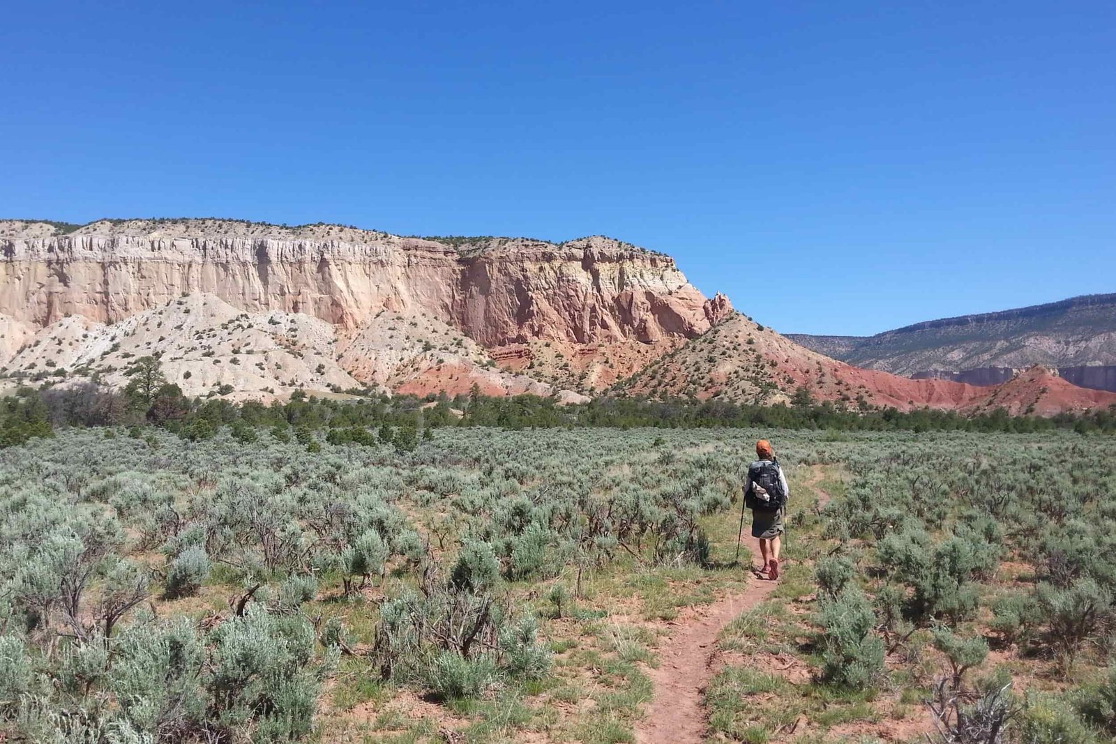backing on a trail with red and orange table mesas and sagebrush all around.