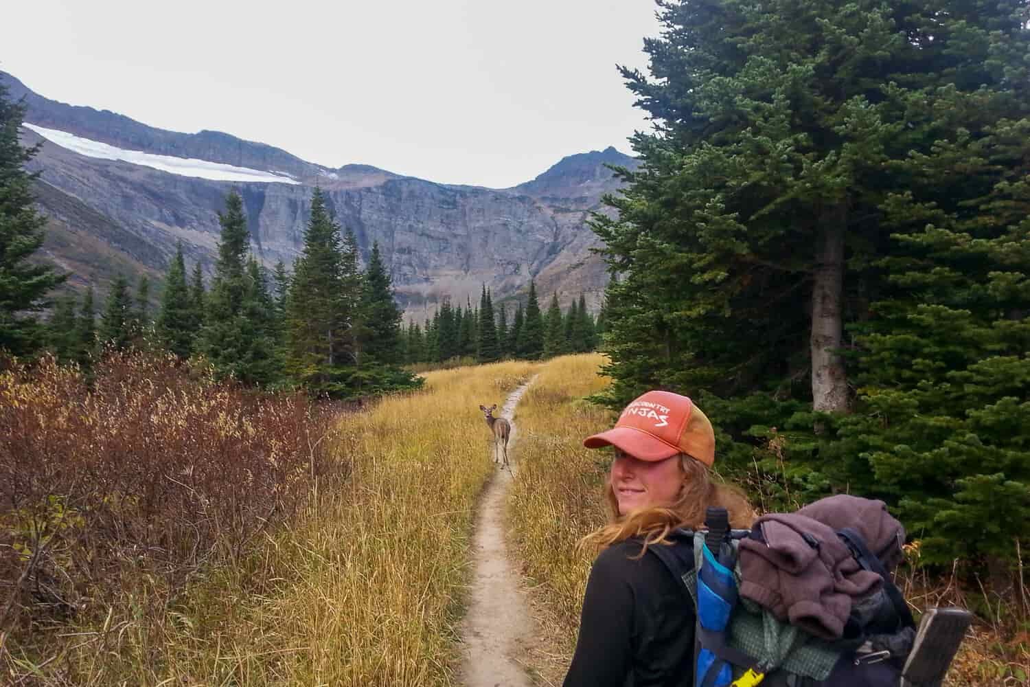 a deer walking in front of a thru-hiker backpacking on the CDT in Glacier National Park.