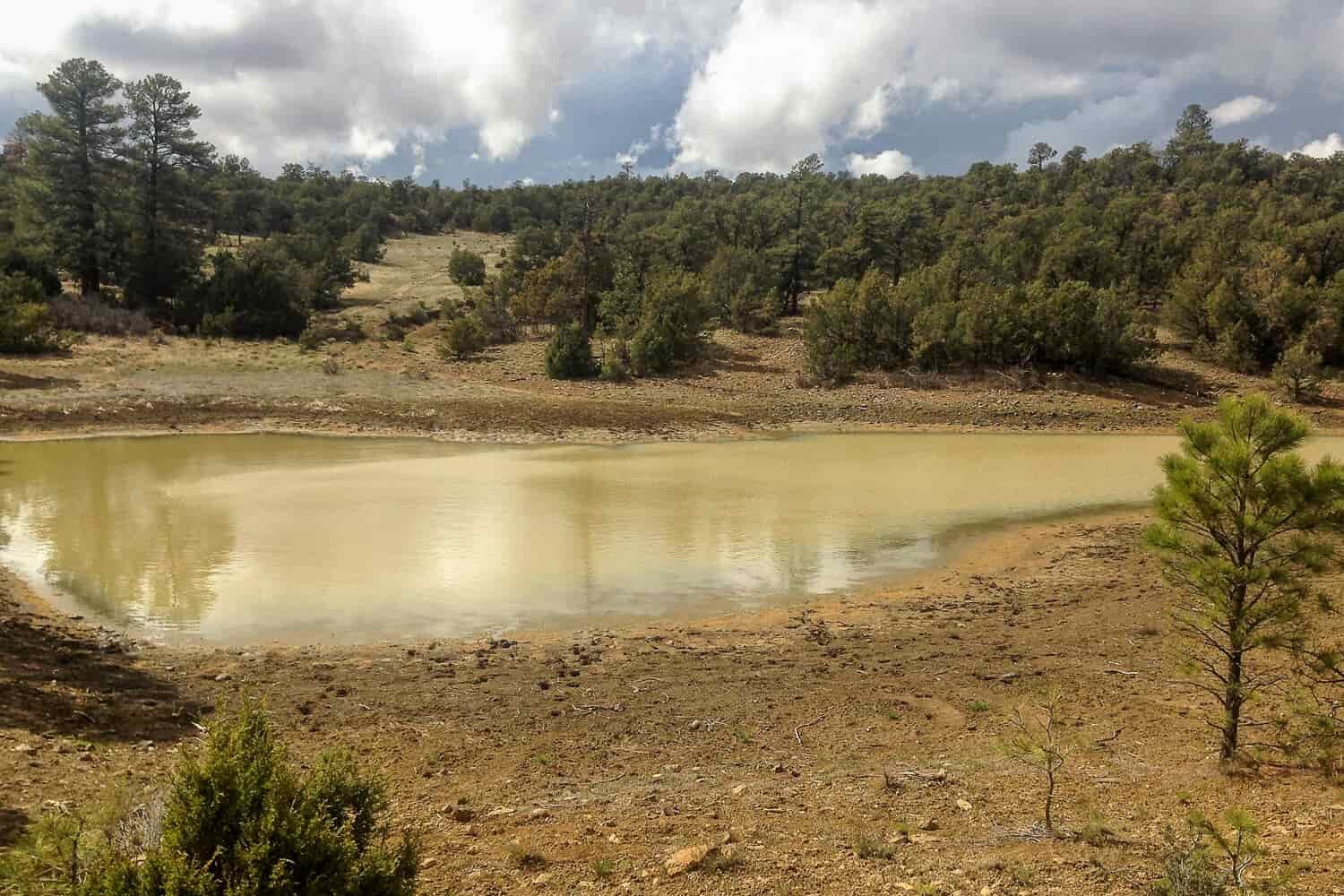 muddy pond is one water source for CDT thru-hikers