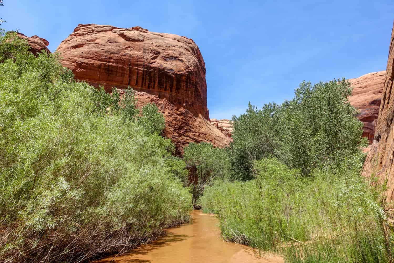 a small creek snaking through large orange rock formations