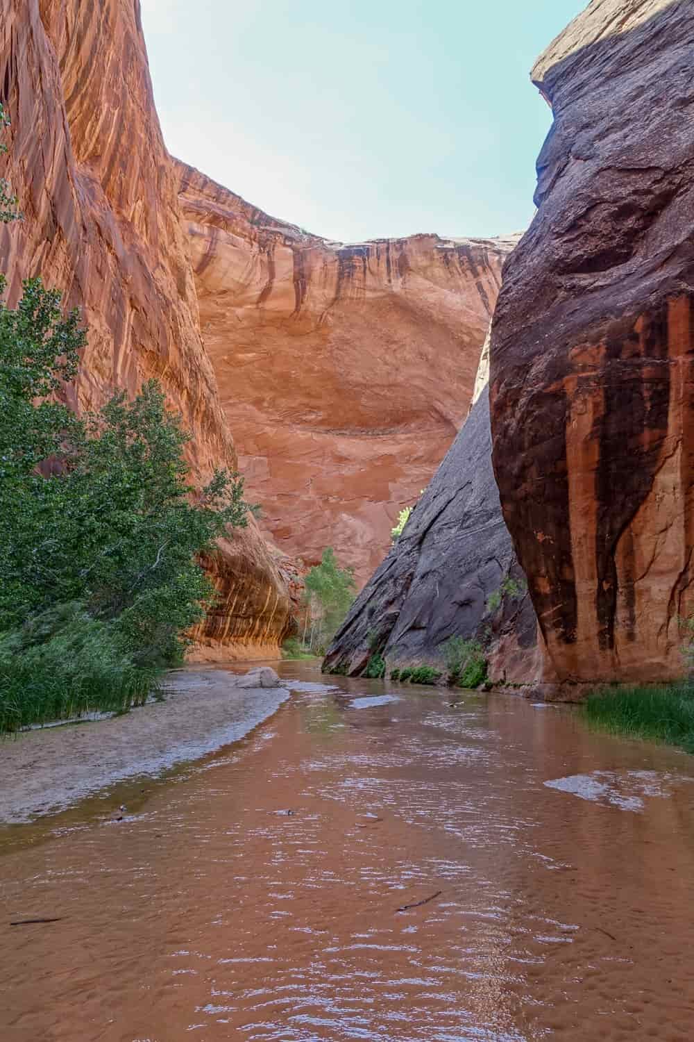 a large riverbed flows into a red rock canyon