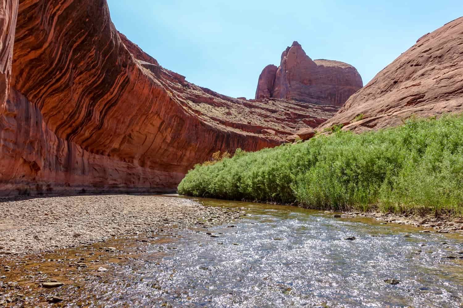a curved red rock wall with a stream and green foliage next to it