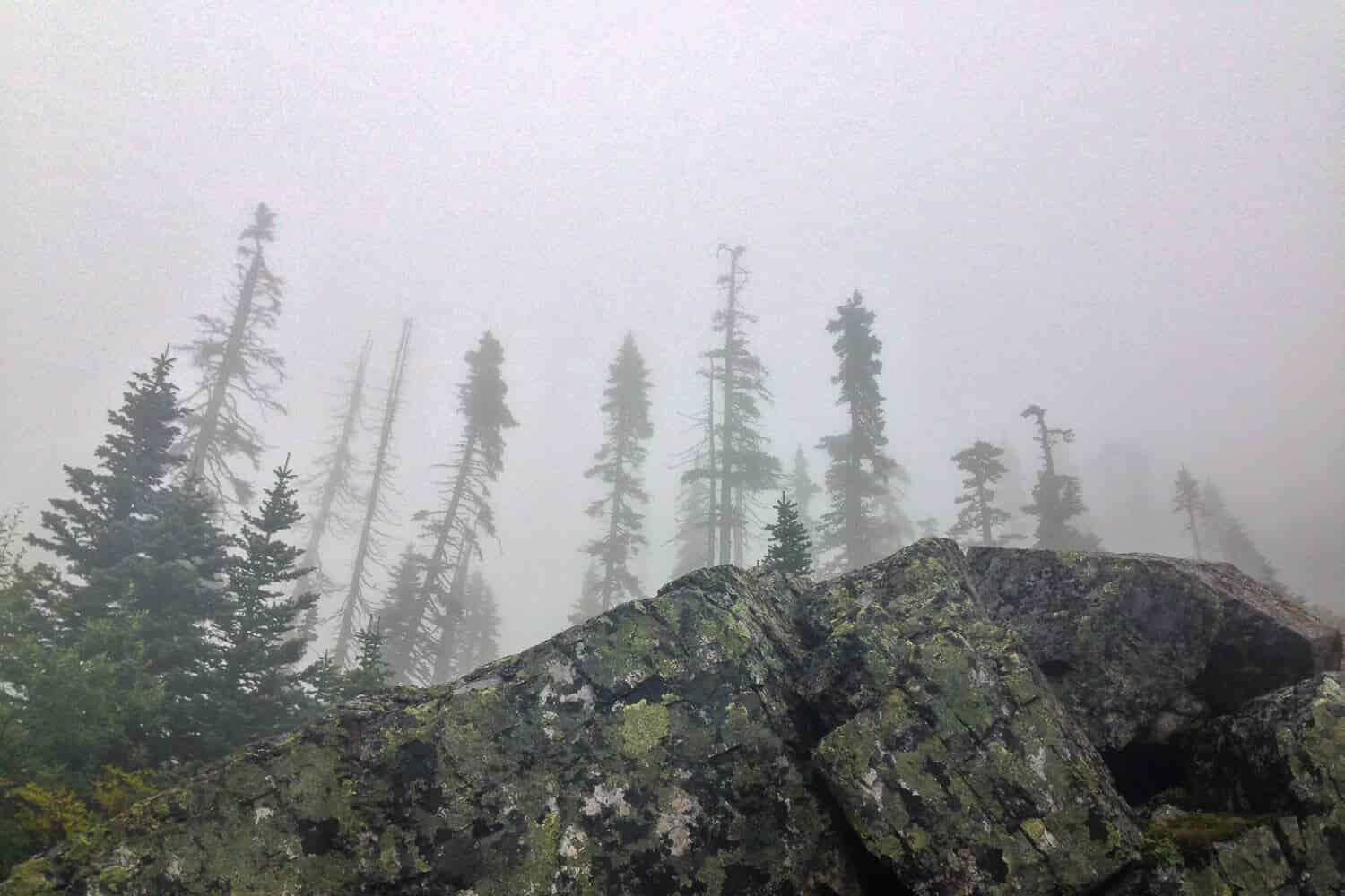 Foggy landscape of trees and rocks on the PCT