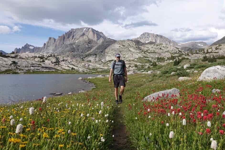 a backpacker walking along a lake with a mountain in the background. the trail has many wildflowers of all colors