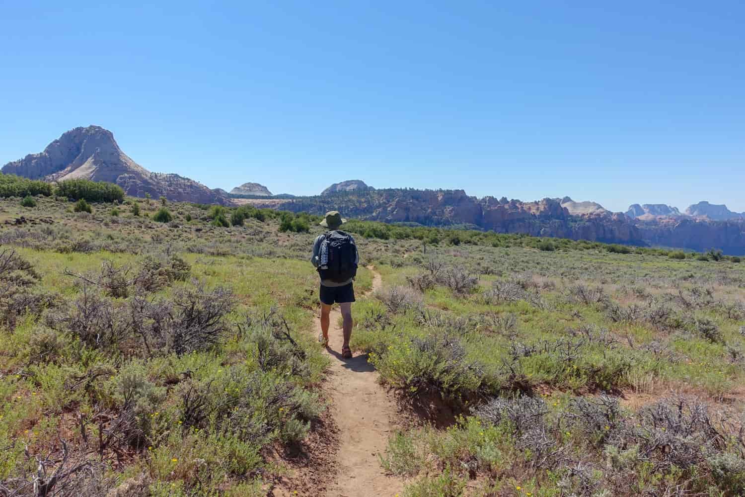 a narrow trail on a flat plateau with rock formations in zion national park in the distance