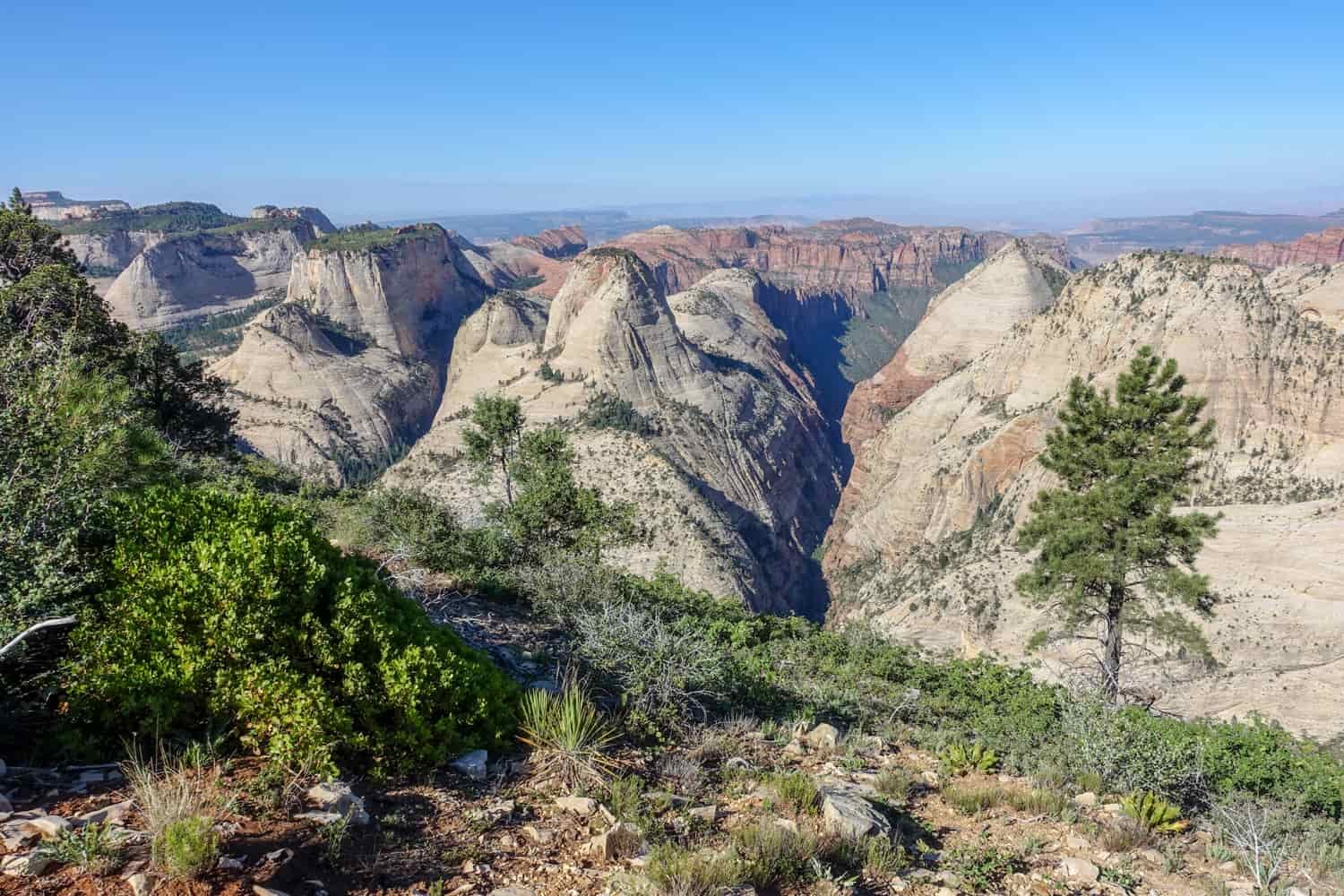 zion national park's vast rock formations, valleys, canyons, and towers on a sunny day