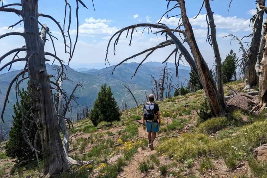 backpacker in the strawberry mountains loop hiking through a burn area