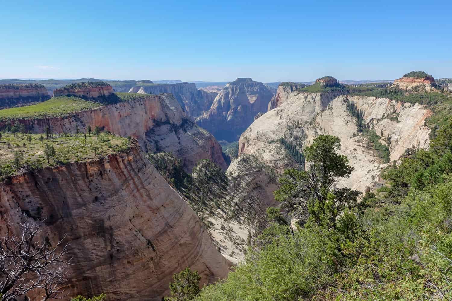 a panoramic view of wildcat canyon on the zion traverse on a sunny day
