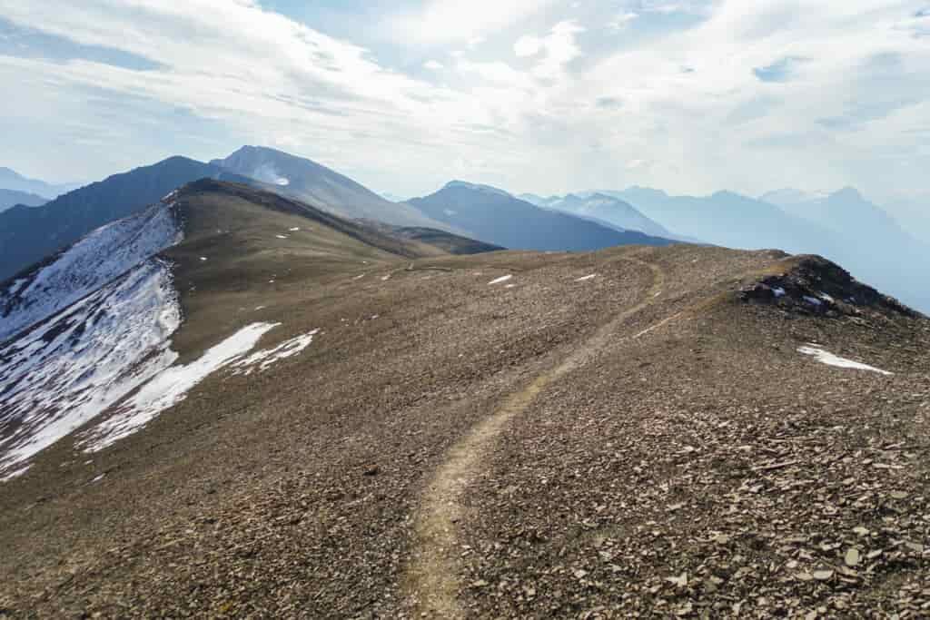 a single track trail on a ridgeline in jasper national park 