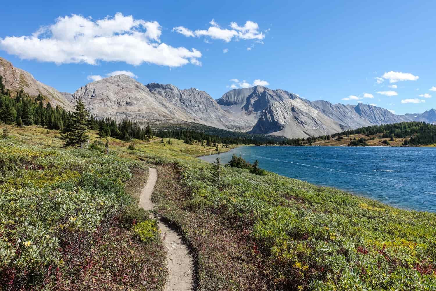 trail along a lake with mountains in the distance