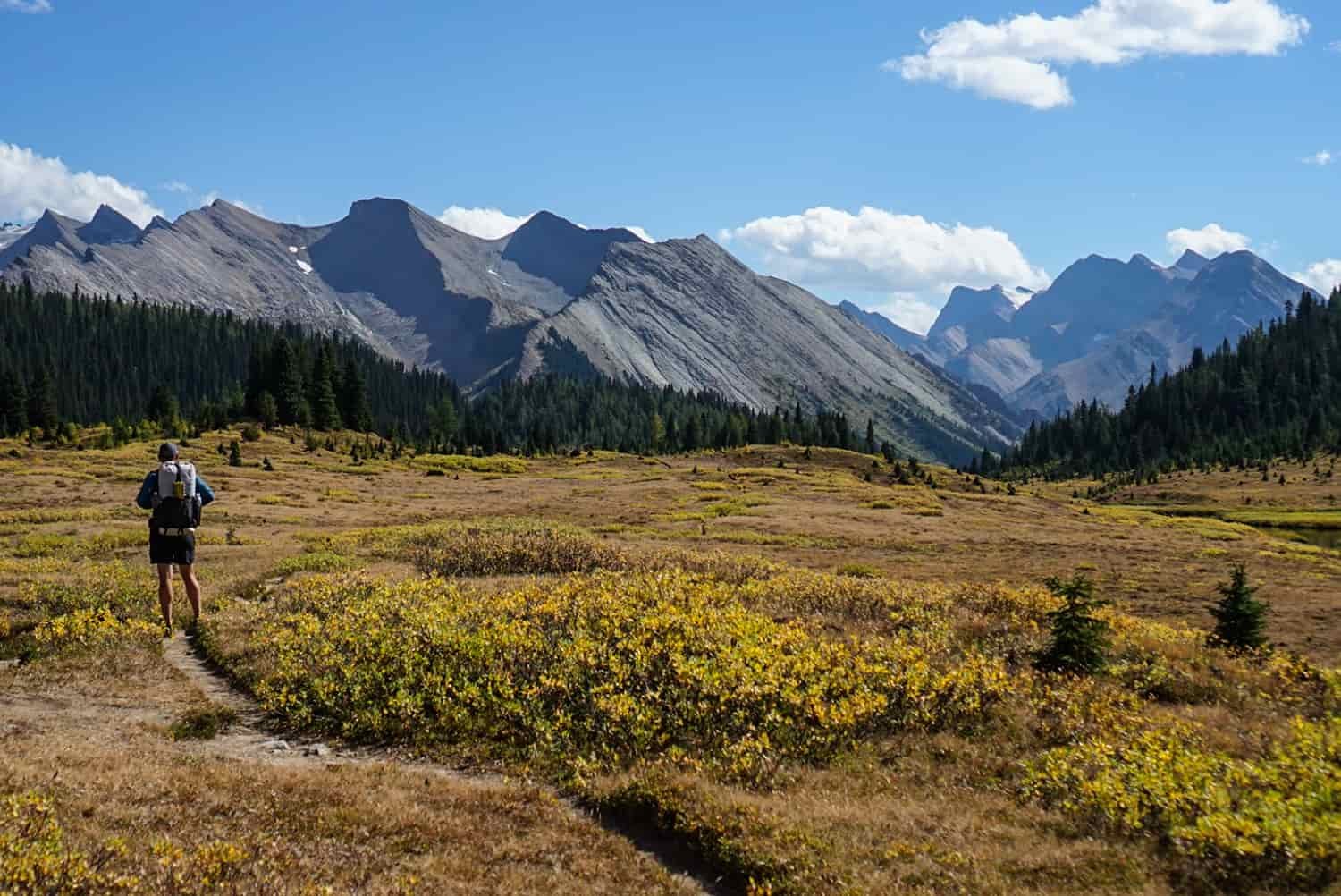 backpacker in a plateau of banff in the fall