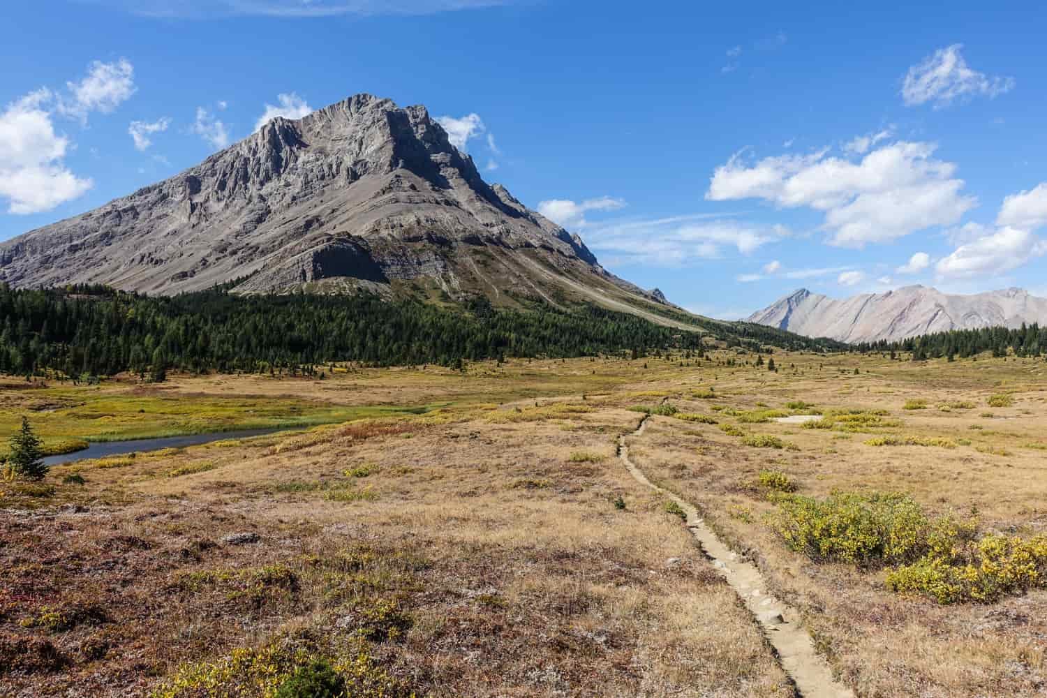 singular peak with a trail leading to it on a sunny day