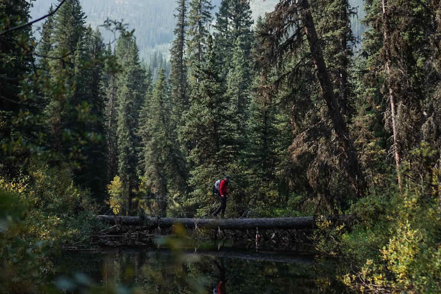 backpacker crosses still water by way of a log