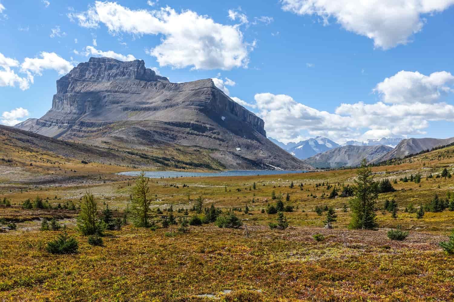 mountain behind alpine meadow in the fall