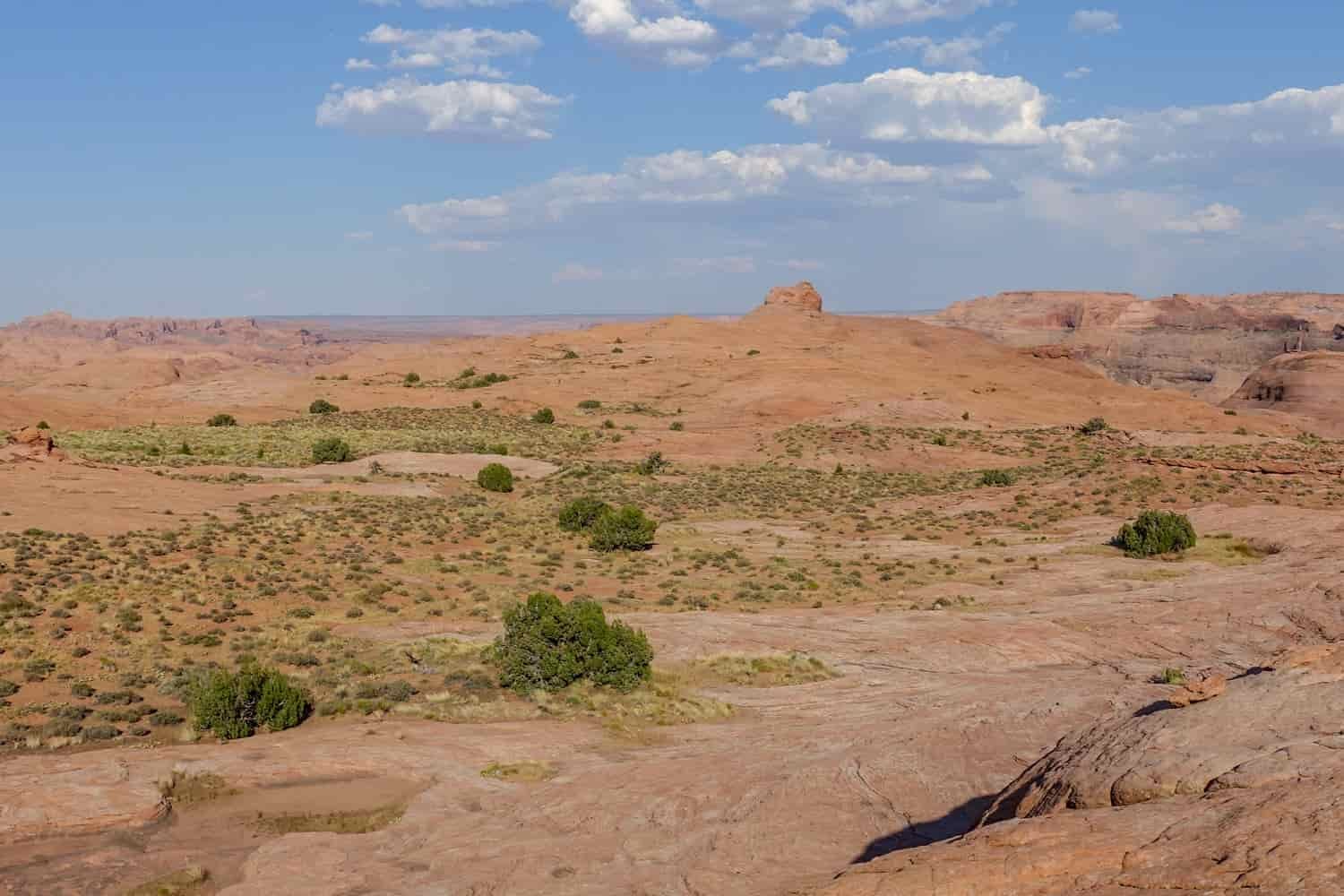 a vast desert landscape with sparse bushes and a blue sky with clouds