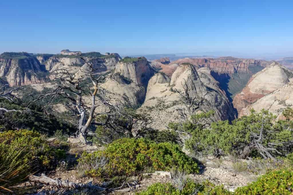 a valley with potato hill canyons below in zion national park