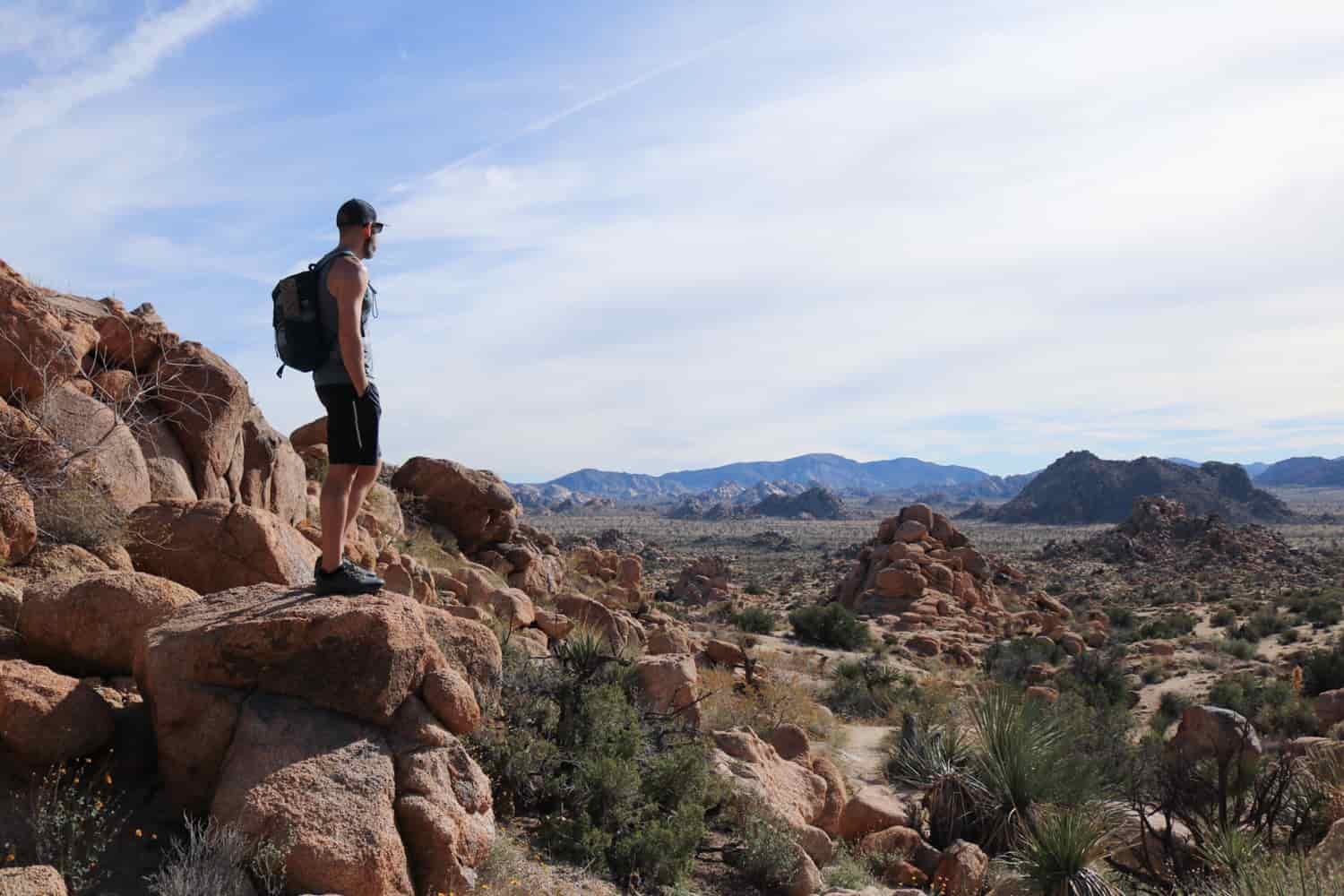 A male hiker stands on a boulder as he looks out across the desert landscape of Joshua Tree National Park