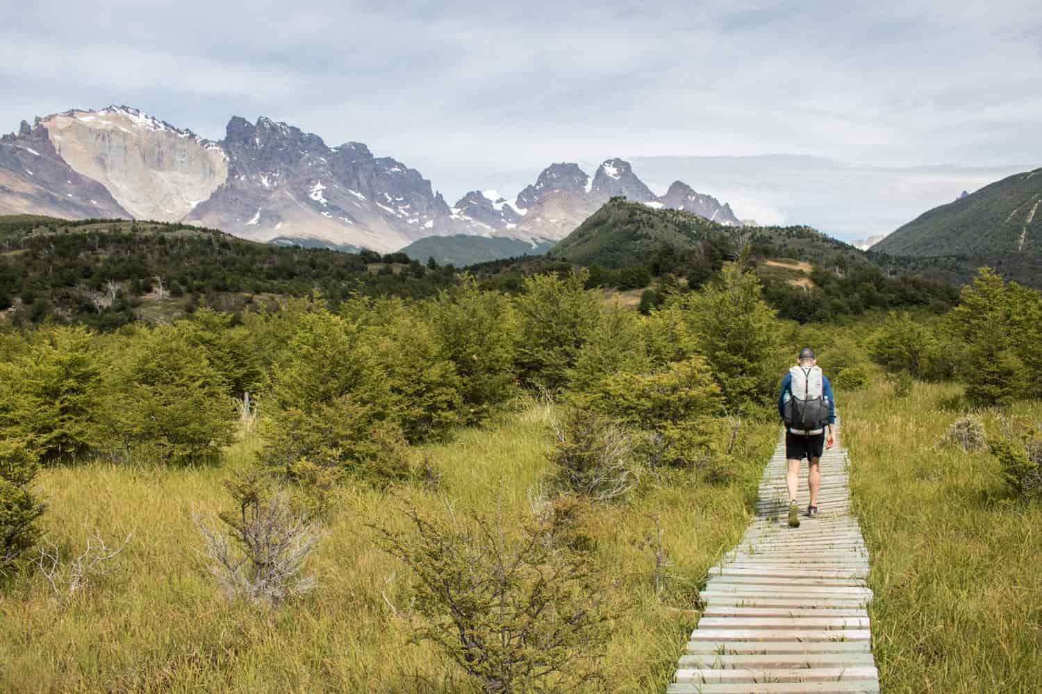 A hiker walks on a boardwalk that's raised about a grassy meadow
