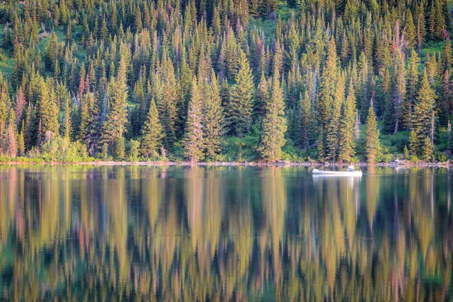 one person in a canoe on a still lake reflecting firs, larches, and pines in glacier national park
