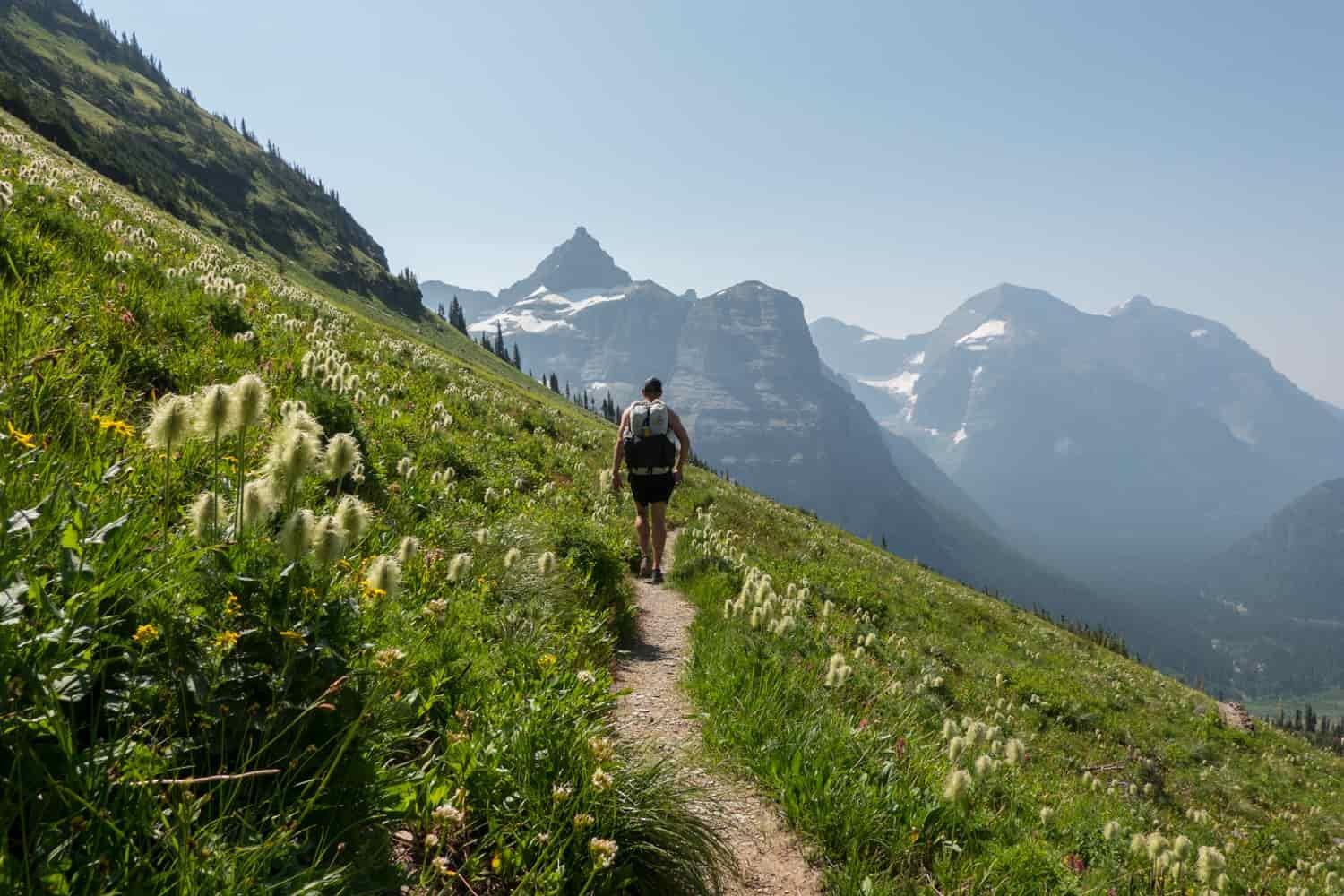 backpacker on a trail in an alpine meadow in glacier national park