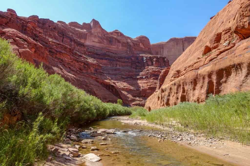 towering sandstone red cliffs over a slow moving creek