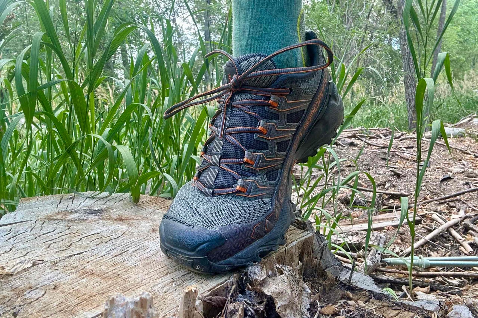 Close up of men's hiking shoe in a forest setting.