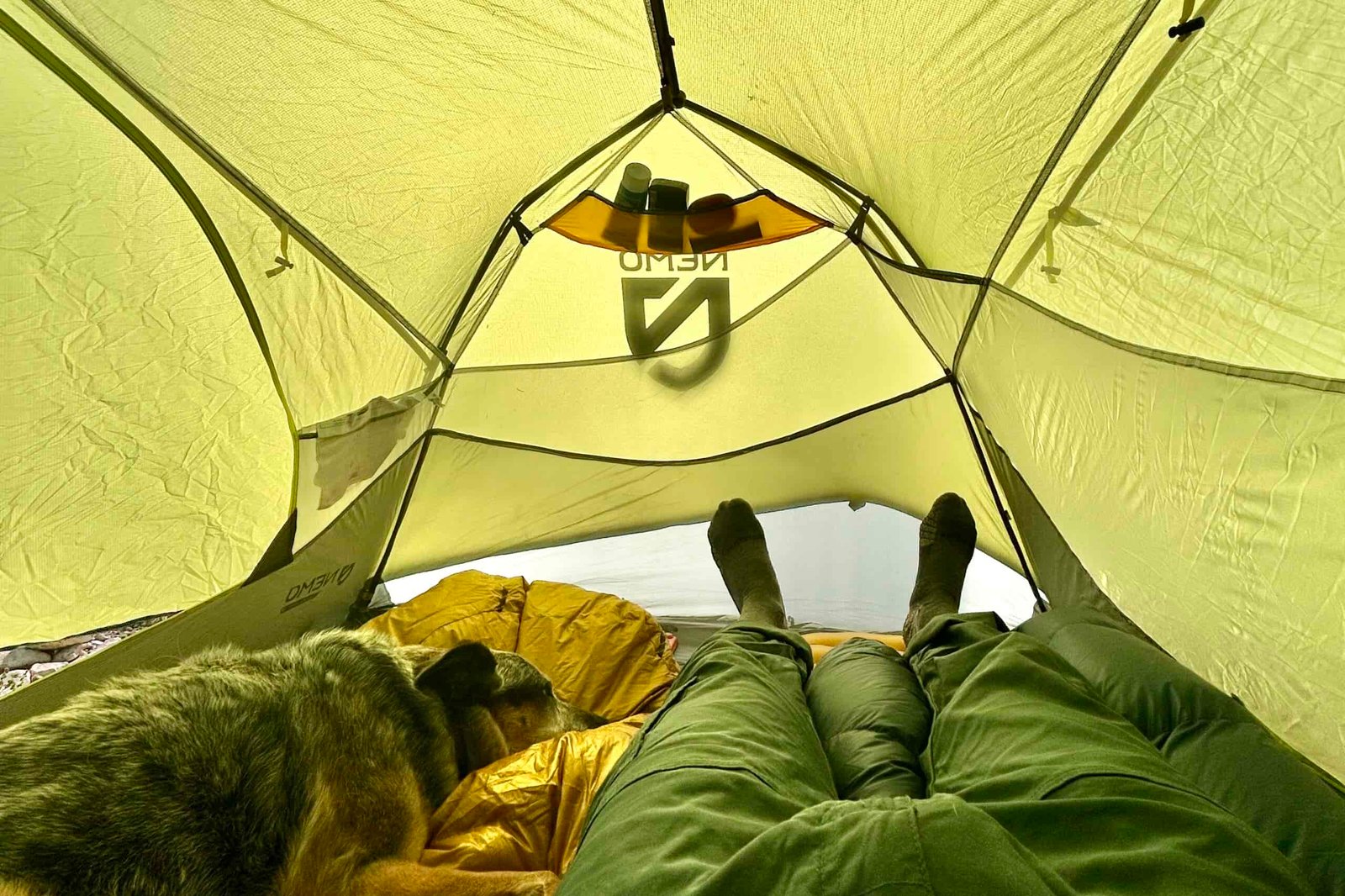 A person and a dog rest inside of a tent.