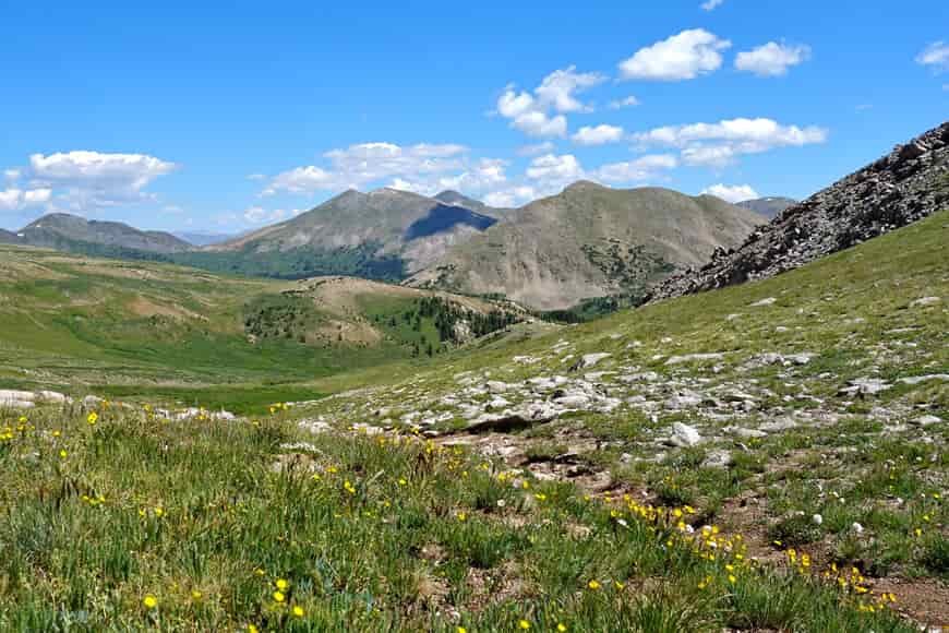 trail in the alpine on the collegiate peak loop with blue skies and some white clouds above the mountains.