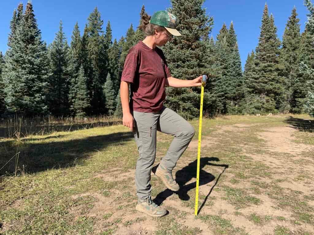 testing the range of motion in the REI trailmade hiking pants for women in a forest meadow
