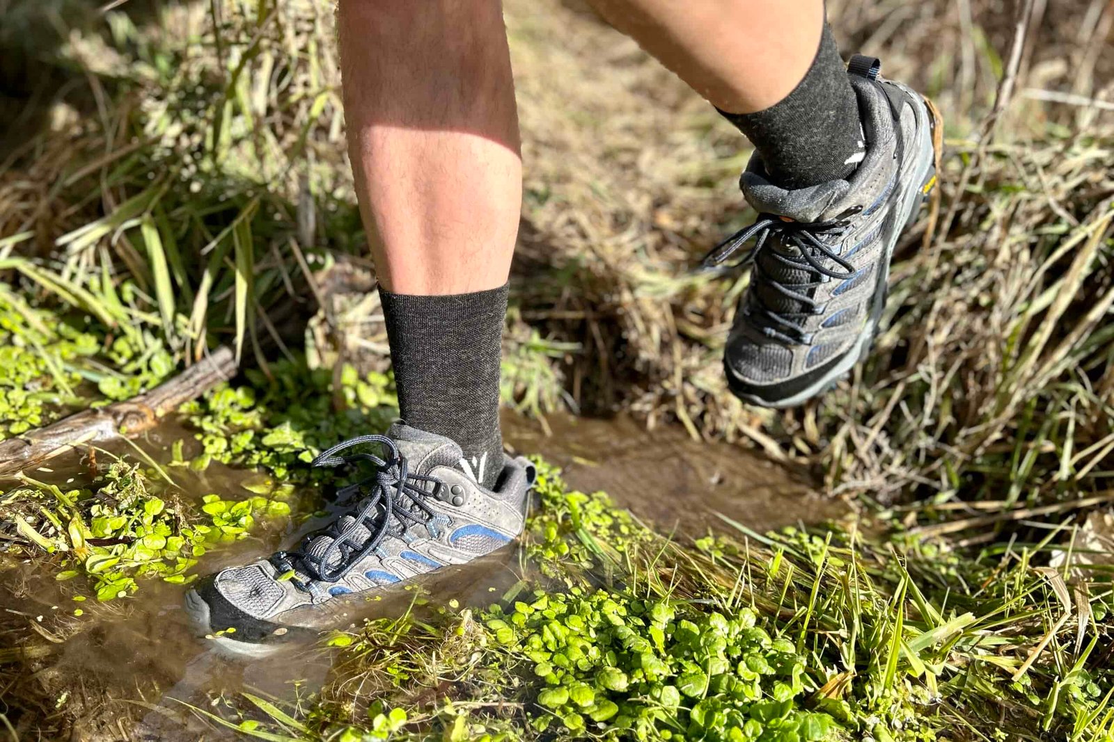 Close-up image from the knees down of a person walking in hiking boots in a wilderness area.
