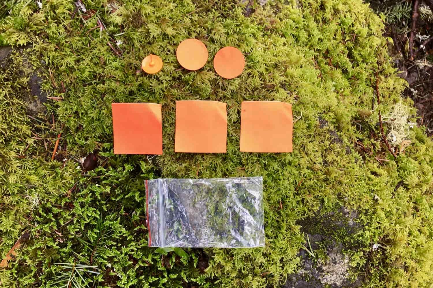 the patch and repair kit for the sea to summit ultralight insulated sleeping pad displayed on a mossy rock