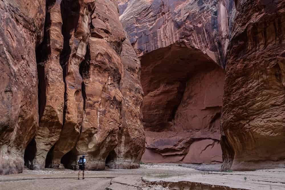 a hiker appears tiny below redstone walls in the buckskin canyon as he walks beside a shallow river 